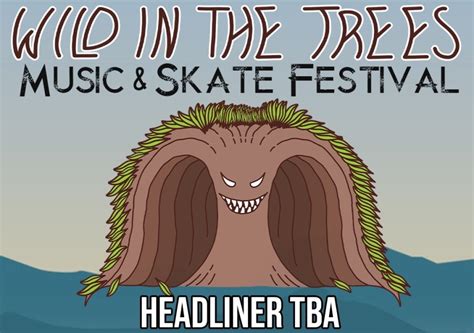 Lineup announced for Lake George skate festival
